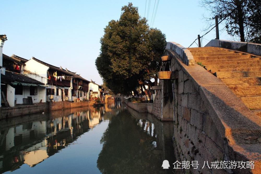 寻找沙漠珍宝